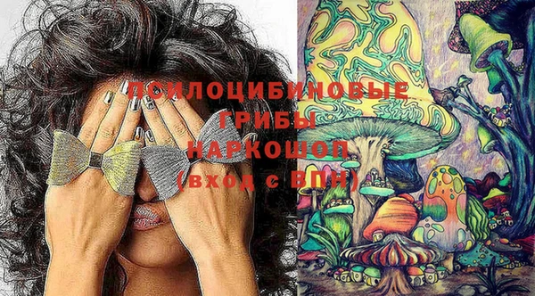 винт Михайлов