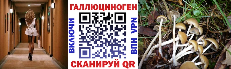 Псилоцибиновые грибы ЛСД  МЕГА зеркало  Юрга 