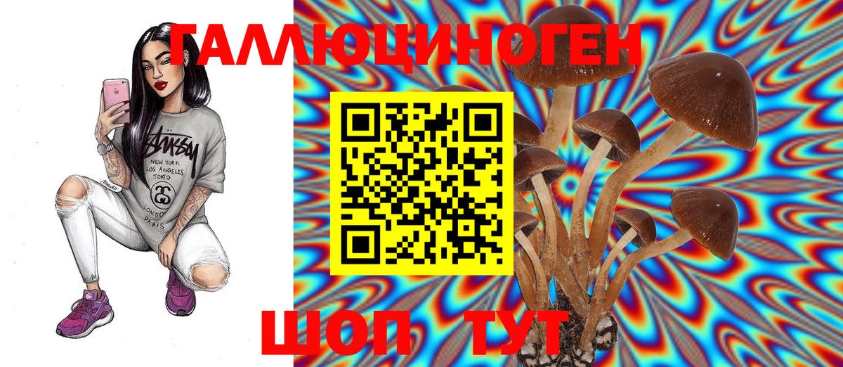 Юрга  Псилоцибиновые грибы Magic Shrooms  Псилоцибиновые грибы GOLDEN TEACHER  Вход с VPN 
