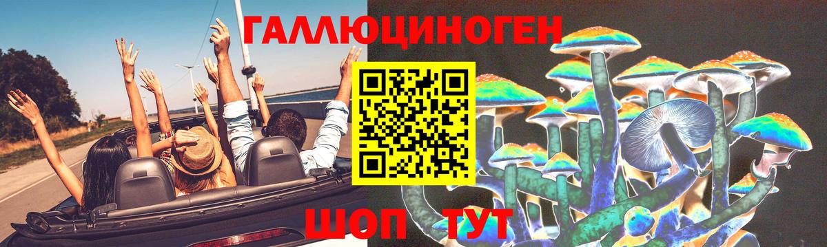 Псилоцибиновые грибы мухоморы Юрга